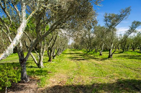 Photo of property in 144 Makaraka Road, Makaraka, Gisborne, 4071