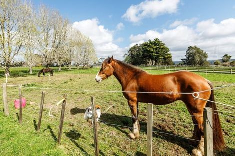 Photo of property in 5 Diamond Lane, Riverhead, 0793