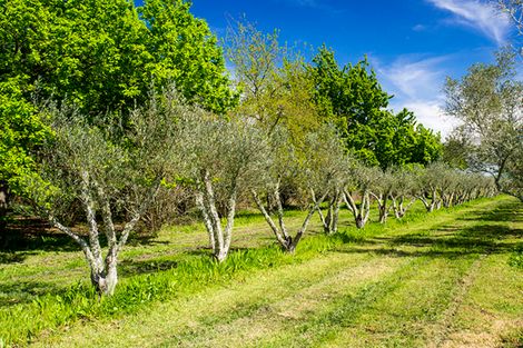 Photo of property in 144 Makaraka Road, Makaraka, Gisborne, 4071