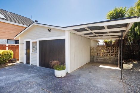 Photo of property in 45 Limbrick Street, Terrace End, Palmerston North, 4410
