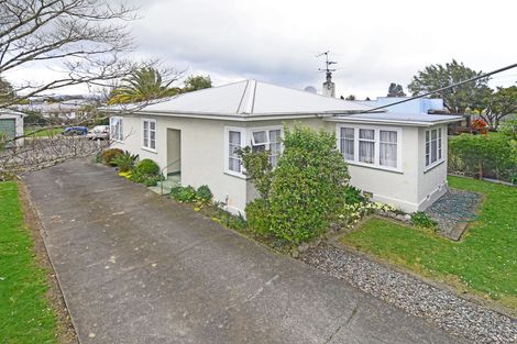 Photo of property in 46 Totara Street, Lansdowne, Masterton, 5810