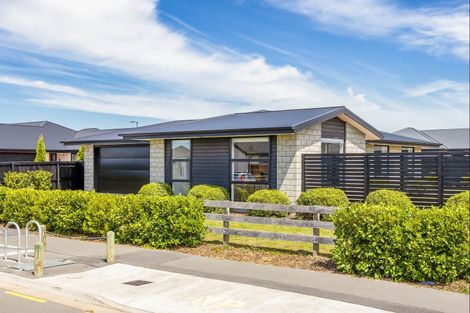 Photo of property in 35 Bonecrusher Street, Lincoln, 7608