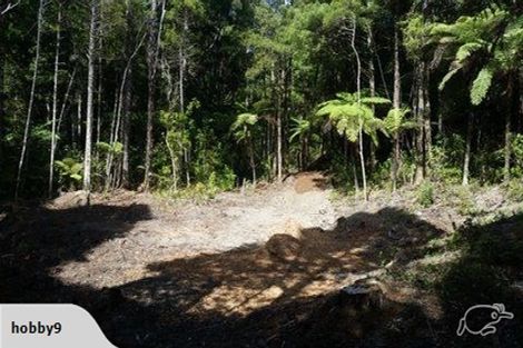 Photo of property in 19 Hobson Road, Lucas Heights, Auckland, 0632