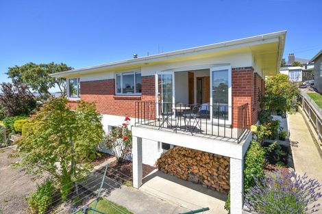 Photo of property in 19 Cooper Street, Mornington, Dunedin, 9011