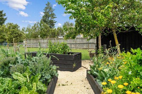 Photo of property in 19 King Street, Coalgate, 7673