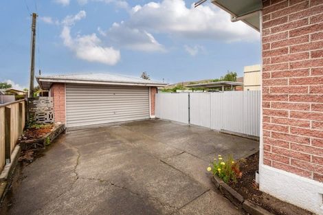 Photo of property in 221 Scott Street, Redwoodtown, Blenheim, 7201