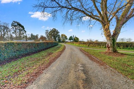 Photo of property in 584a Orari Station Road, Geraldine, 7992