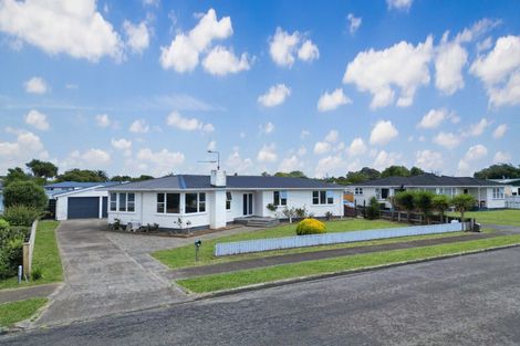 Photo of property in 16 Mark Perreau Place, Foxton, 4814