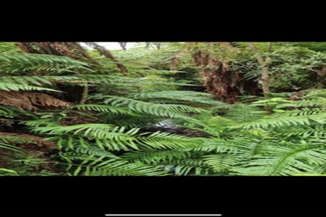 Photo of property in 8 Leith Crescent, Greymouth, 7805