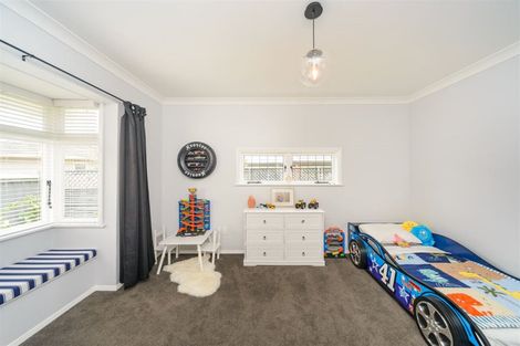 Photo of property in 29 Limbrick Street, Terrace End, Palmerston North, 4410