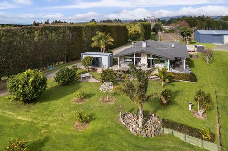 Photo of property in 88b Rea Road, Tahawai, Katikati, 3178