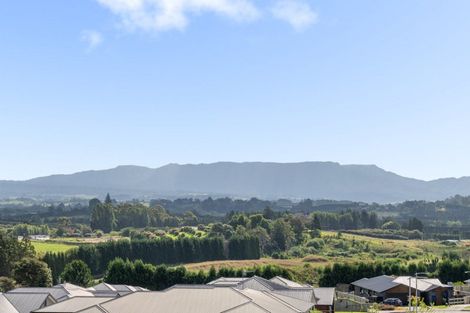 Photo of property in 8 Kuaka Rise, Omokoroa, 3114