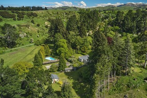 Photo of property in 63 The Gates Road, Waiau, 7395