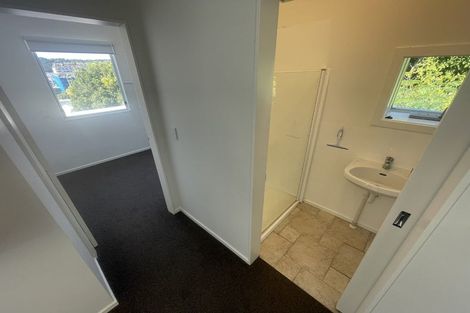 Photo of property in Fernhill Flats, 5/324 The Terrace, Te Aro, Wellington, 6011