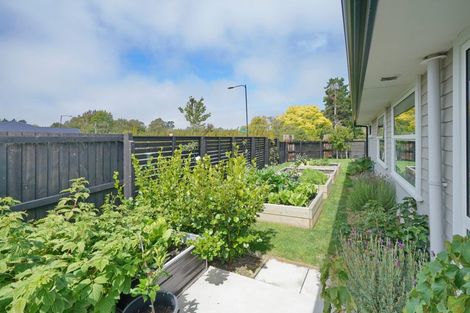 Photo of property in 68 Parsonage Road, Woodend, 7610