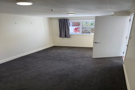 Photo of property in 87 Majoribanks Street, Mount Victoria, Wellington, 6011