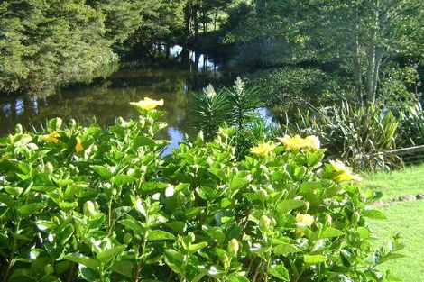 Photo of property in 341a Matauri Bay Road, Kaeo, 0478