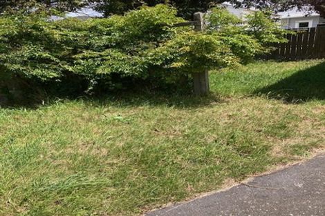 Photo of property in 44 Bridge Street, Rongotai, Wellington, 6022