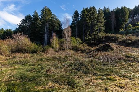 Photo of property in 27 Forestlines Rise, Ben Lomond, Queenstown, 9371