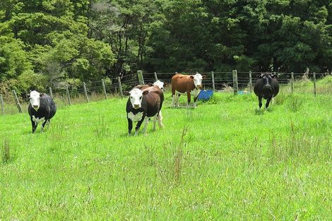 Photo of property in 134 Heatley Road, Whakapirau, Maungaturoto, 0583