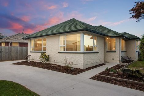 Photo of property in 119 Warren Crescent, Hillmorton, Christchurch, 8025