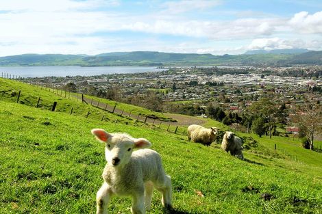 Photo of property in 72 Mountain Road, Western Heights, Rotorua, 3015