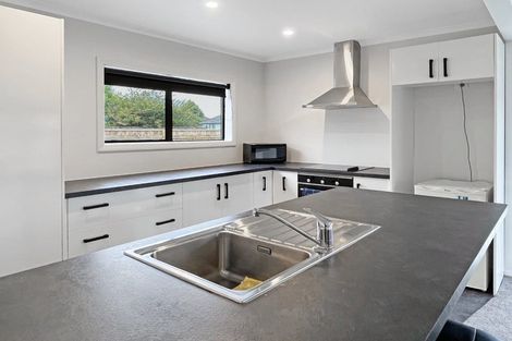 Photo of property in 107 Limbrick Street, Terrace End, Palmerston North, 4410