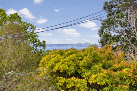 Photo of property in 142 Stredwick Drive, Torbay, Auckland, 0630
