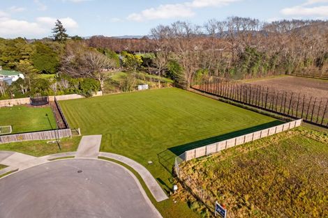 Photo of property in 50 Orchard Road, Greytown, 5712