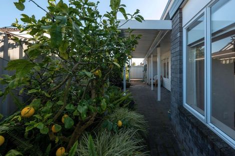 Photo of property in 36a Malfroy Road, Victoria, Rotorua, 3010