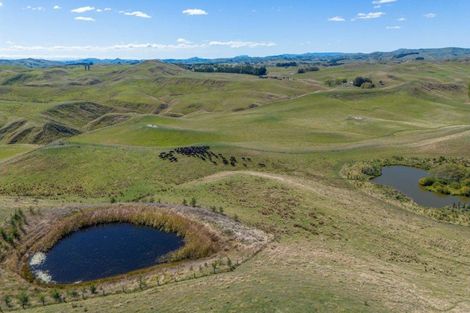 Photo of property in 300 Pattison Road, Akina, Hastings, 4122