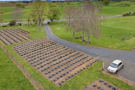 Photo of property in 169 Brotherhood Road, Kihikihi, Te Awamutu, 3875