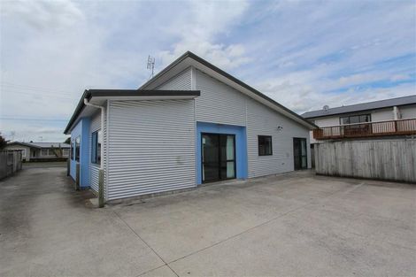 Photo of property in 55 York Street, Hamilton East, Hamilton, 3216