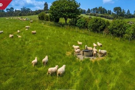 Photo of property in 208 Sunnyside Road, Coatesville, Albany, 0793