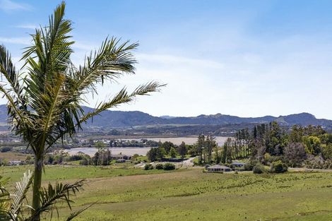 Photo of property in 1683 Tomarata Road, Mangawhai, Wellsford, 0975