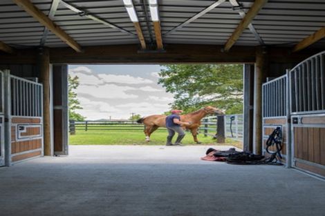 Photo of property in 442 Bruntwood Road, Tamahere, Cambridge, 3493