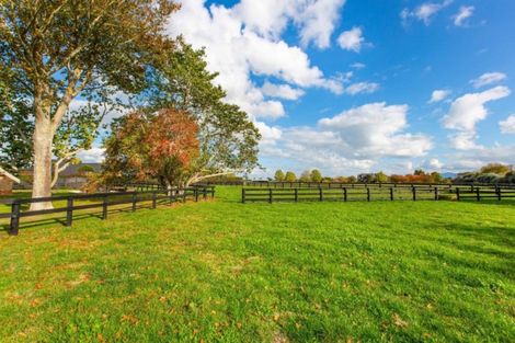 Photo of property in 338 Pencarrow Road, Tamahere, Hamilton, 3283