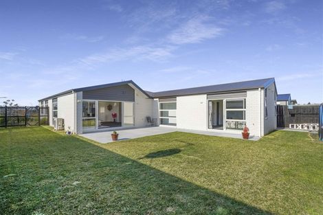 Photo of property in 47 Probert Crescent, Chartwell, Hamilton, 3210