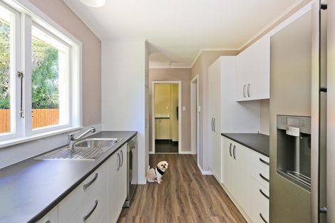 Photo of property in 9 O'connell Place, Havelock North, 4130