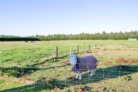 Photo of property in 1197 North Makarewa Grove Bush Road, Grove Bush, Invercargill, 9876