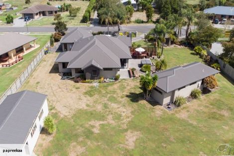 Photo of property in 23 Harris Place, Ngatea, 3503