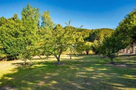 Photo of property in 434 Crane Road, Kauri, Kamo, 0185