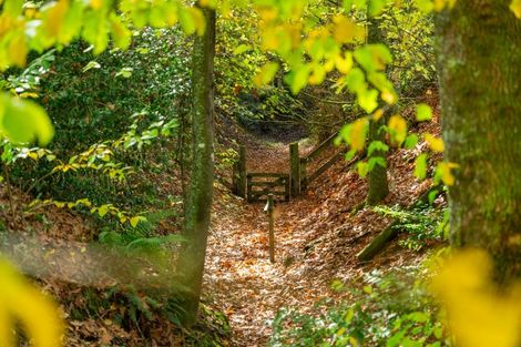 Photo of property in 175 Forest Road, Oruanui, Taupo, 3384