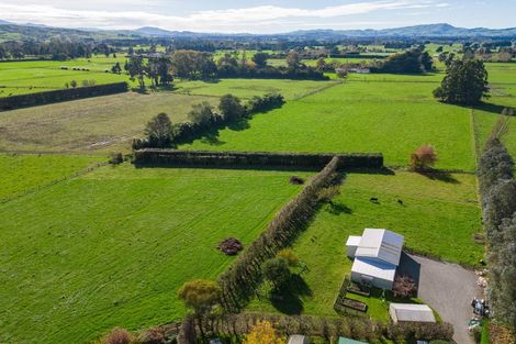 Photo of property in 202 West Bush Road, Upper Plain, Masterton, 5888
