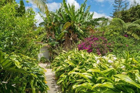 Photo of property in 189 Waikino Road, Karetu, Kawakawa, 0283