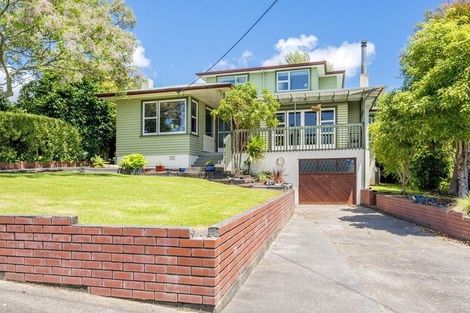 Photo of property in 31 Chester Street, Levin, 5510