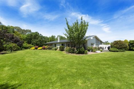 Photo of property in 376 Wakanui Road, Elgin, Ashburton, 7777