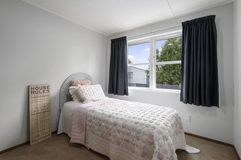 Photo of property in 43 Tararua Street, Pahiatua, 4910