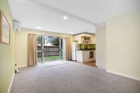Photo of property in 4/30 Mathesons Road, Phillipstown, Christchurch, 8011