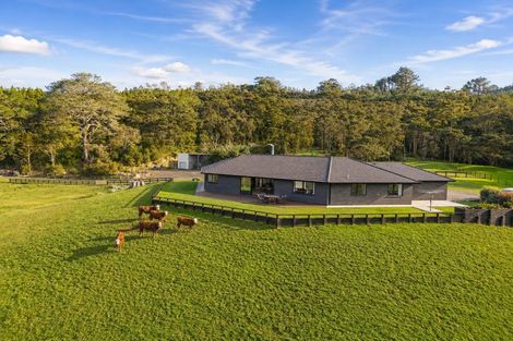Photo of property in 49 Kanohi Road, Kaukapakapa, 0873